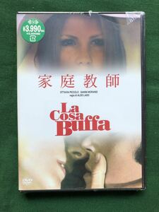 DVD、未開封新品、家庭教師 、LA COSA BUFFA、オッタヴィア・ピッコロ、Ottavia Piccolo