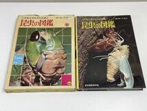 昆虫の図鑑(小学館の学習百科図鑑2)　児童学習図鑑　小学館　昭和47年(1972)発行 【z65297】_画像3