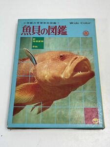 魚貝の図鑑　小学館の学習百科図鑑　3　昭和47年初版【z65305】