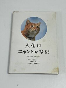 人生はニャンとかなる! 明日に幸福をまねく68の方法 猫が教えてくれる「大切なこと」切り取って使えます 絵葉書【H65207】