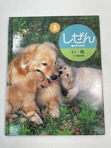 しぜん 5 キンダーブック いぬ 今泉忠明 フレーベル館 2000（平成12）年発行 生態 ゴールデンレトリーバー アイリッシュセッター【z60807】