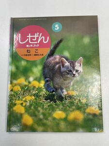 しぜん 5　キンダーブック ねこ 今泉忠明　瀬野丘太郎 2001（平成13）年発行 フレーベル館【z60812】