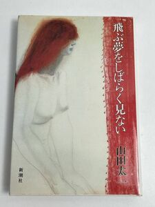 飛ぶ夢をしばらく見ない』山田太一(新潮社)/1985年初版【H65941】