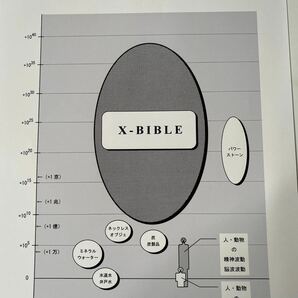 春のセールゼロックスゴールド62㎜超高波動ペンダントXバイブルTOP 2点セット宇宙エネルギーゼロ磁場パワーストーン水晶天然石開運グッズの画像8