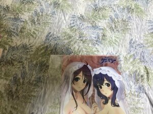 531クリアファイル　聖痕のクェイサー　織部まふゆ＆山辺燈 チャンピオンRED特典