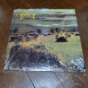 BECK / A WESTERN HARVEST FIELD BY MOONLIGHT /10インチ/FOLK ROCK,LO-FI,EXPERIMENTAL