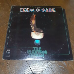 THE ELECTRIC INDIAN / KEEM-O-SABE /LP/I HEARD IT THROUGH THE GRAPEVINE/B-BOY BREAK/DARYL HALL,VINCENT MONTANA JR/RIP SLYMEネタ 