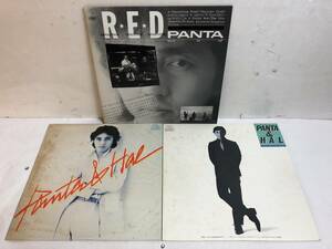 31125S 12inch LP★PANTA 3点セット★PANTA & HAL★R・E・D/マラッカ/1980X★VIH-28256/FLD-10013/FLD-10017