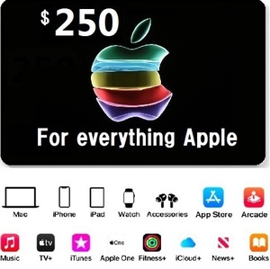 USA iTunes card ギフトカード $250ドル分 北米 コード配信