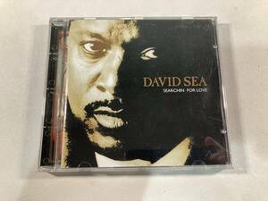 【1】M7004◆David Sea／Searchin' For Love◆デイヴィッド・シー／サーチン・フォー・ラヴ◆輸入盤◆