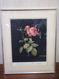 Art hand Auction 中古品☆絵画☆印刷☆ポスター☆花☆一輪☆額付き☆アルミフレーム☆311S4-E13458☆, 印刷物, ポスター, その他