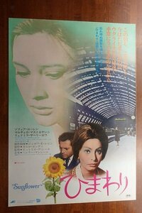 OF279 /国内B2判 映画ポスター【 ひまわり 】監督 ビットリオ・デ・シーカ/出演 ソフィア・ローレン/マルチェロ・マストロヤンニ