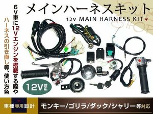 モンキー ゴリラ ダックス カブ 12v ハーネスセット 4miniバイク