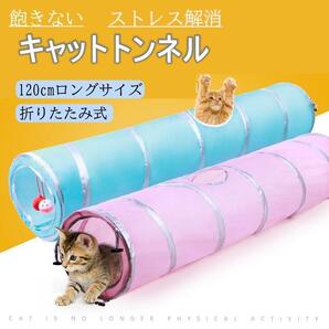 猫 トンネル おもちゃ キャットトンネル ペット玩具 折りたたみ式 ピンク ネコ 愛犬 犬の画像2