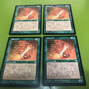 MTG MIR ミラージュ 剣歯コブラ Sabertooth Cobra 4枚セット