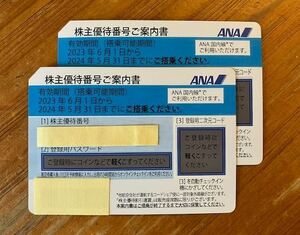 ★即決！ANA株主優待券2枚 有効期限2024年5月31日まで-202