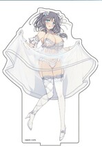 雪泉 BIGアクリルスタンド 閃乱カグラ ポップアップショップ シノビマスター アクスタ アクリルフィギュア ポップアップストア 和風バニー_画像1