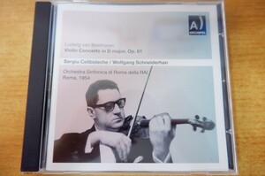 CDk-1110 / Wolfgang Schneiderhan, Orchestra Sinfonica Di Roma Della RAI / Ludwig van Beethoven:Violin Concerto In D Major