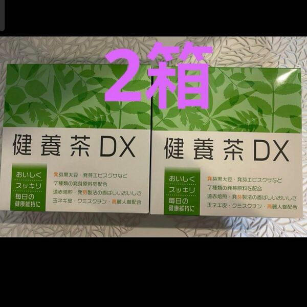 新入荷ナリス化粧品健養茶DX 2箱