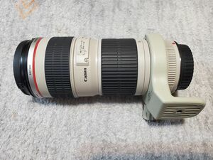 ★ 【極上美品】 キヤノン Canon EF 70-200mm F4L USM 三脚座つき 即決 39,800円 (送料無料）