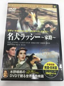 ★DVD★名犬ラッシー～家路～　1943年作品　動作品【4枚まで同梱可　送料210円】