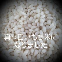 令和5年産棚田で育てたヒヨクモチ白米包帯込み2kg新米_画像5