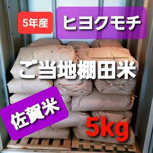 令和5年産棚田育ちのヒヨクモチ5kg 新米