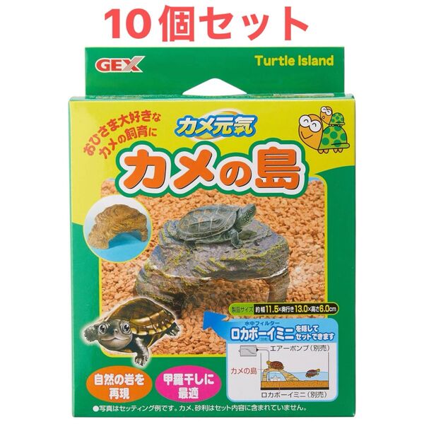 GEX ジェックス カメの島 水槽 生き物 生物 観賞魚 飼育
