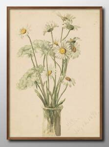 Art hand Auction 14121 ■Livraison gratuite !! Affiche d'art peinture format A3 Marietta Minigerod Andrews Daisy fleur illustration papier mat nordique, Logement, intérieur, autres