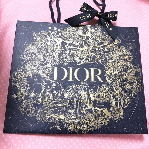 新品 ディオール 限定 紙袋 ショップ袋 ショッパー DIOR Dior