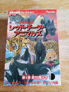 フルタ　世界の動物コレクション　レッド・データ・アニマルズ