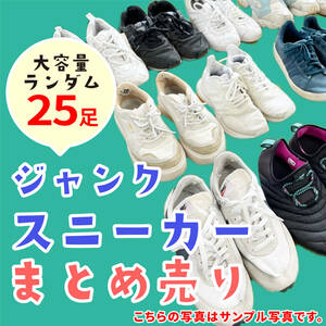 【激安】訳あり ジャンク アパレルブランド スポーツブランド スニーカー メンズ レディース 古着 中古 業者 転売OK まとめ売り 25足 11-45