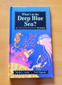 What's in the Deep Blue Sea?　Can-you-guess?　 lift-up-　　book　David A. Carter　Peter Seymour