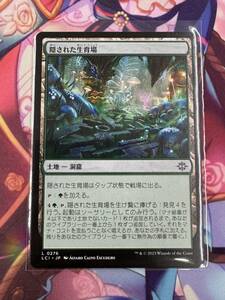 マジックザギャザリング/MTG/イクサラン:失われし洞窟/コモン/隠された生育場（日本語版）