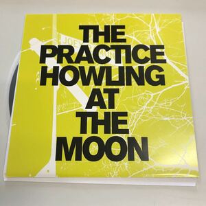 210101 THE PRACTICE HOWLING AT THE MOON Cubismo Grafico RAMONES 松田&#34;CHABE&#34;岳二 和モノ AtoZ 昭和歌謡 レコード