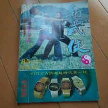 貴重　新武侠　大聖劈掛門 詠春拳　　拳法　武術　古武道　空手　気功　東洋医学　少林拳　少林寺 南拳　 　猴拳 剣術_画像1