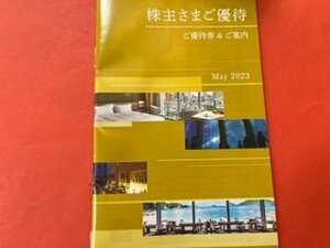 1冊☆西武ホールディングス株主優待券（500株未満）共通割引券1000円×3枚・他☆2023年11月30日期限♪