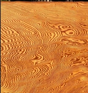 世界初の最高級屋久杉杢目美術品 息吹 IBUKI 不正競争防止法適用作品
