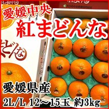 【Good】トップブランド 愛媛中央限定！ 高級柑橘 愛媛産『紅まどんな』12～15玉約3kg_画像1