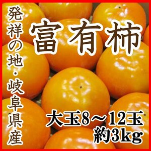 【Good】発祥の地・岐阜産『富有柿』4L～2L 大玉8～12玉 約3kg ご予約