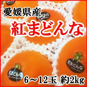 【Good】大量20箱出品中！高級柑橘！柑橘王国・愛媛産『紅まどんな』6～12玉 約2kg