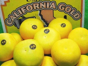 【Good】大量20箱出品中！カリフォルニア産メロゴールド 3～4玉入り ご予約