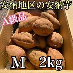 【正真正銘】　種子島安納地区の安納芋　農家直送　Mサイズ　2kg