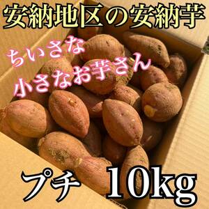 【正真正銘】　種子島安納地区の安納芋　農家直送　プチサイズ　10kg