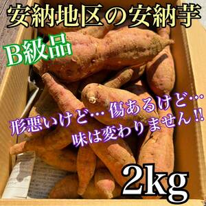 【正真正銘】　種子島安納地区の安納芋　農家直送　B級品　2kg