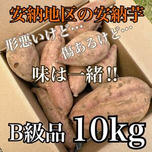【正真正銘】　種子島安納地区の安納芋　農家直送　B 10kg