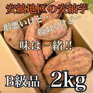 【正真正銘】　種子島安納地区の安納芋　農家直送　B級品　2kg