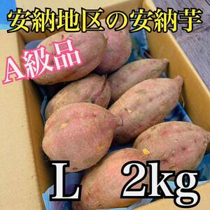 【正真正銘】　種子島安納地区の安納芋　農家直送　Lサイズ　2kg