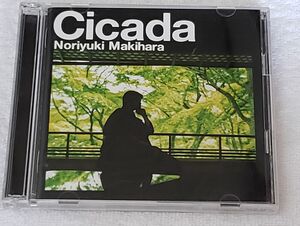 槇原敬之「Cicada」8cmシングル付 CD