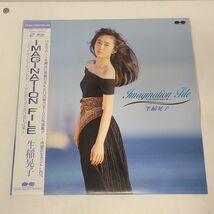 LD / 生稲晃子　イマジネーション・ファイル　NORTHSHOREの夏 / ポニーキャニオン / 帯付き / PCLP-00001【M005】_画像1